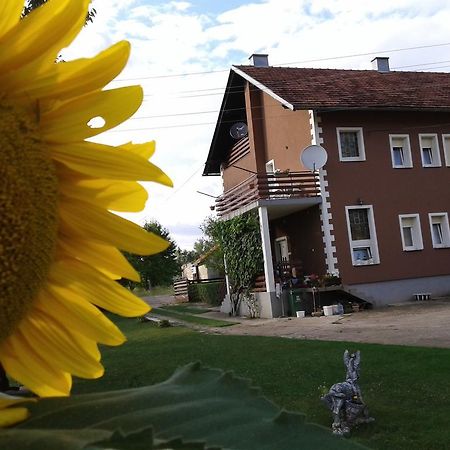 Gacka Rooms Vrhovine Экстерьер фото