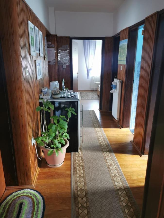 Gacka Rooms Vrhovine Экстерьер фото
